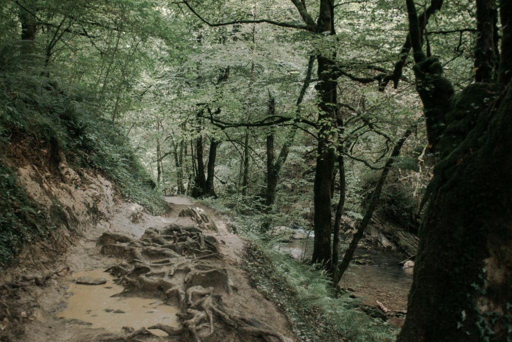 forêt sentier boue randonnée holzarte