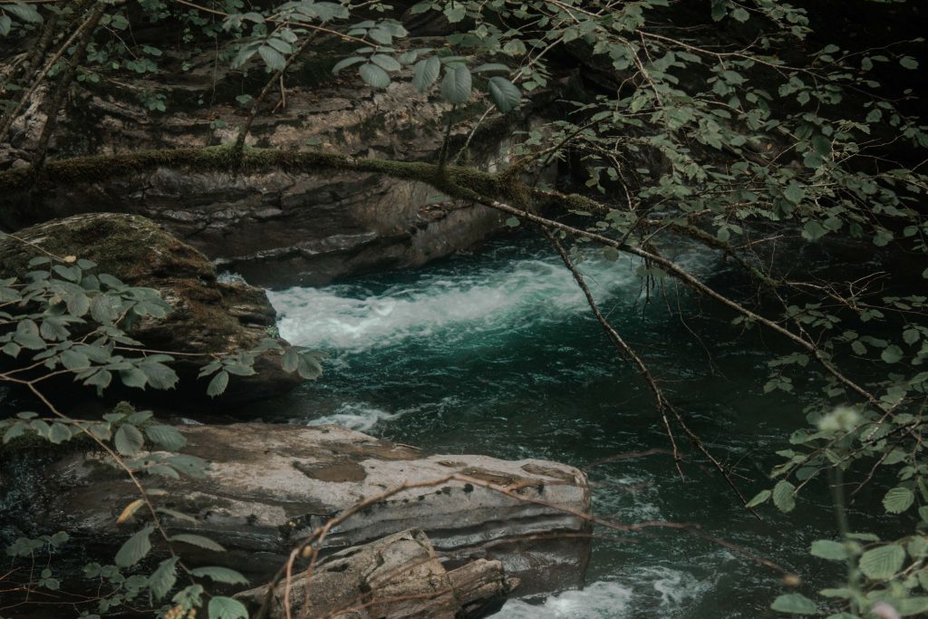 rivière holzarte randonnée arbre