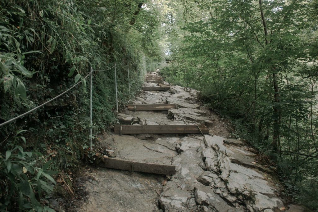 sentier holzarte rochers forêt