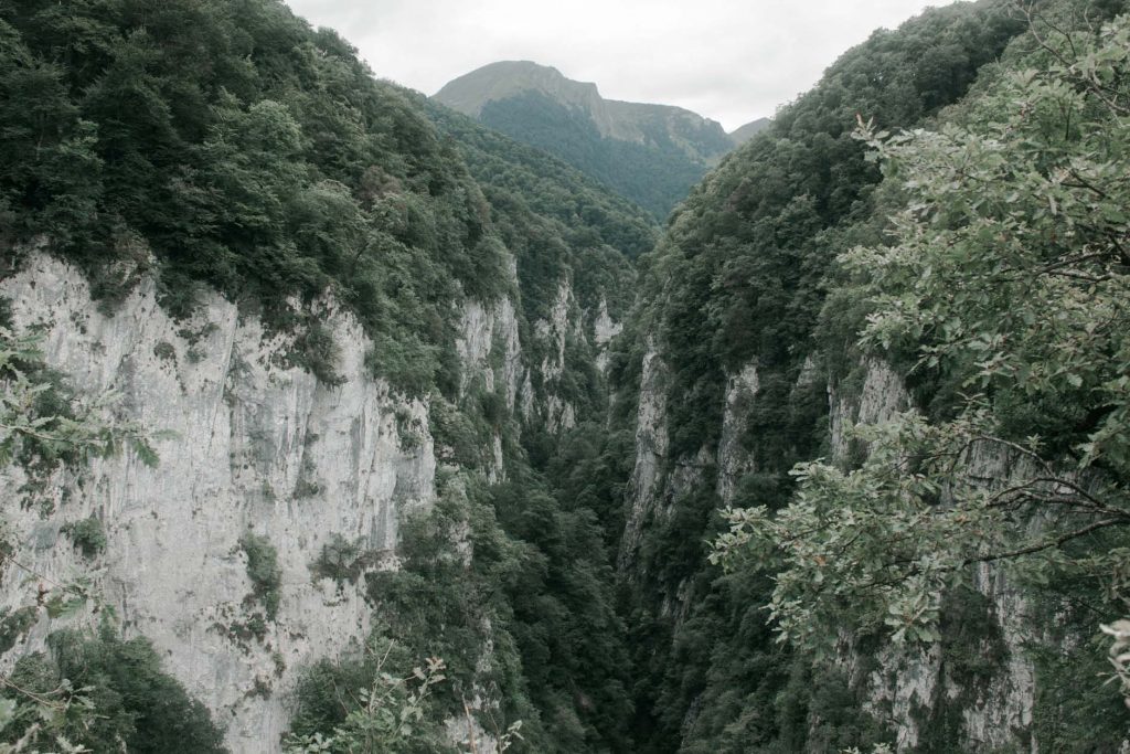 gorges holzarte vegetation rochers