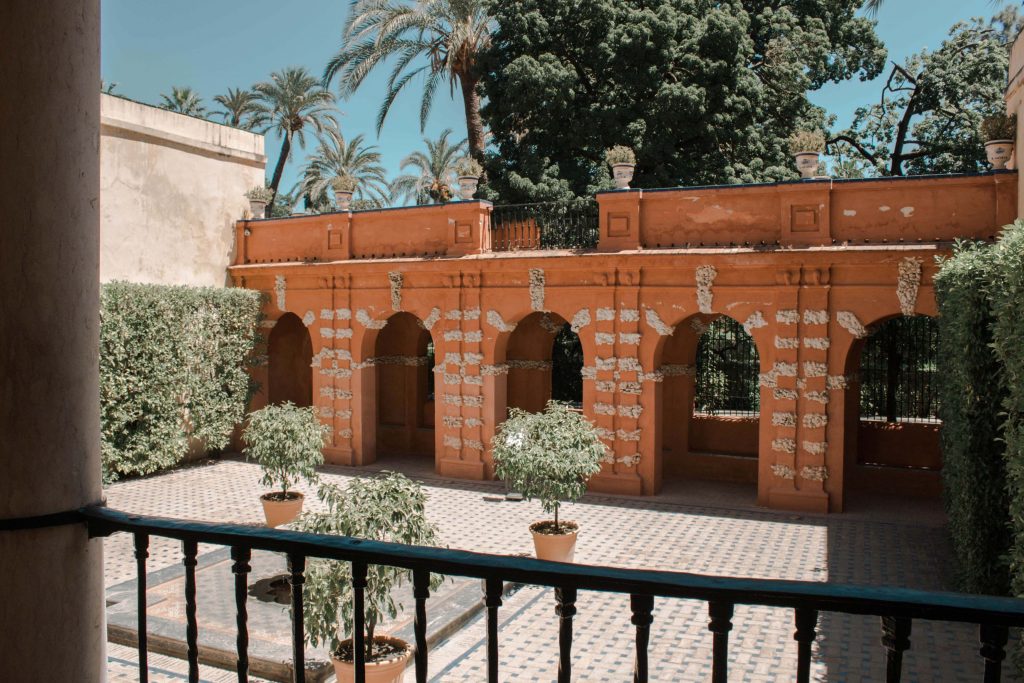 jardin palais alcazar orange arbres