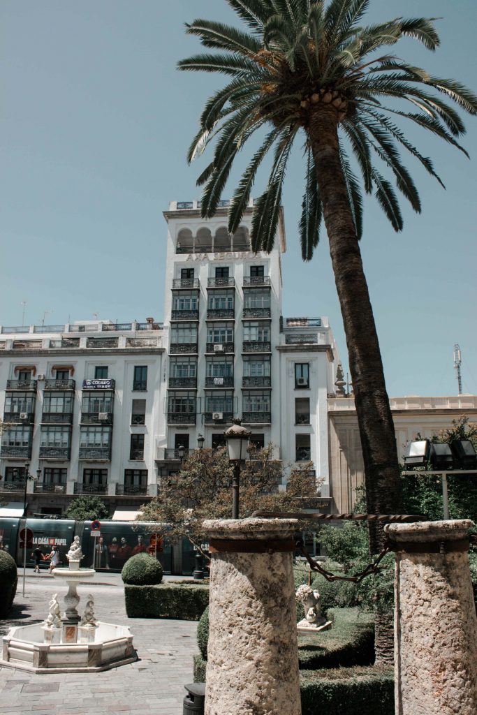seville palmier bâtiment