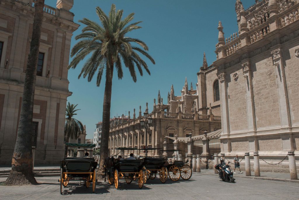 seville palmier calèche cathedrale