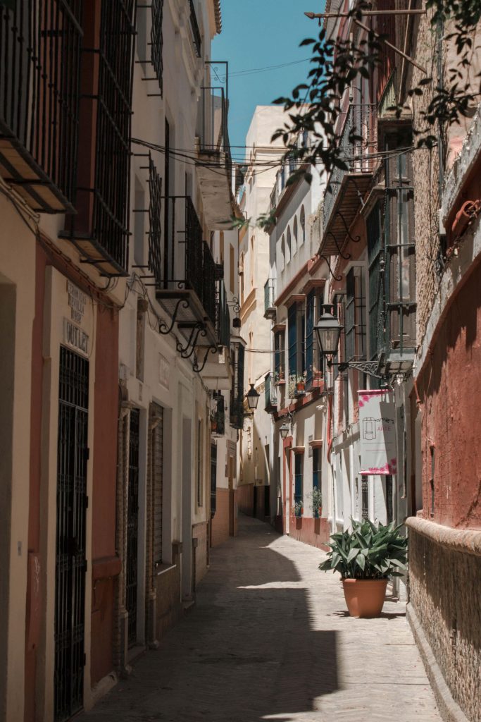 seville santa cruz ruelle plante