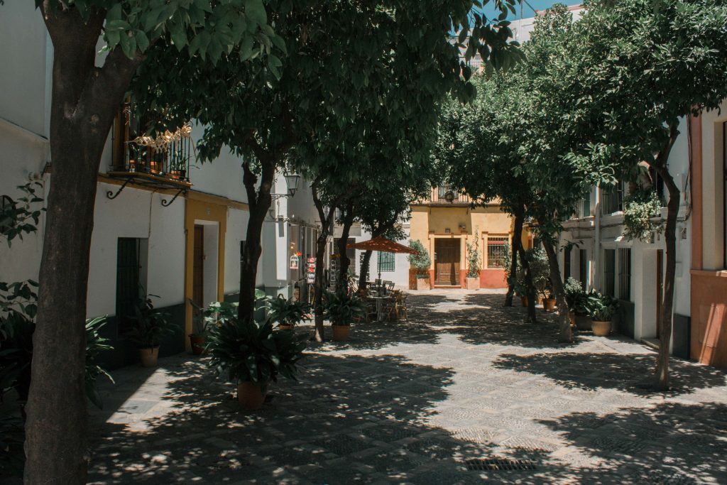 seville santa cruz arbres ombre