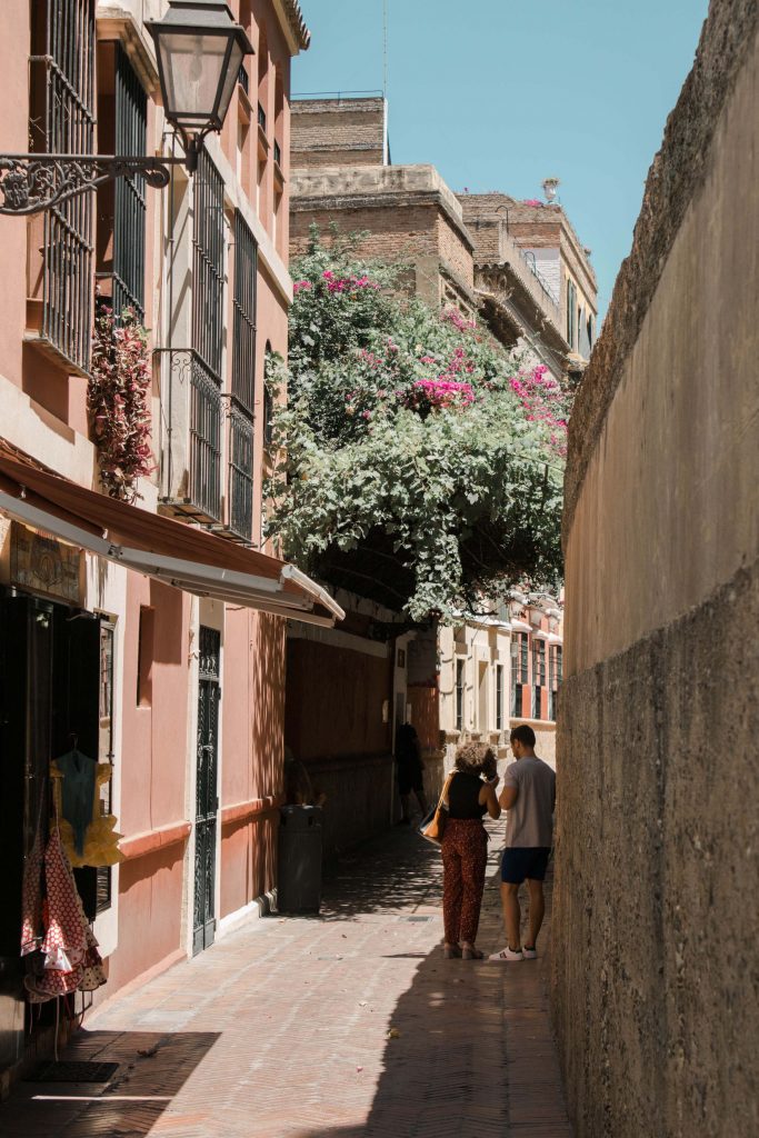 santa cruz seville ruelle couple fleurs